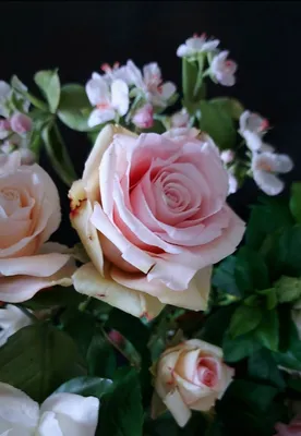 Сахарные цветы из мастики «Букет на проволоке - Розы Оранжевые», Казахстан  (id 49750999), купить в Казахстане, цена на Satu.kz
