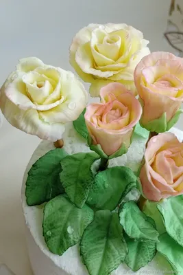 Сахарные цветы из мастики «Ромашки цветные», Казахстан - купить Сахарные  цветы в интернет-магазине Forcakes