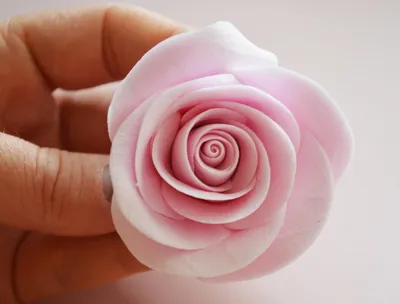 Роза из полимерной глины. Мастер-класс - Мастер-классы - Лепесток -  Любительское цветоводство