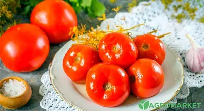 Рецепт квашеных помидоров - Agro-Market