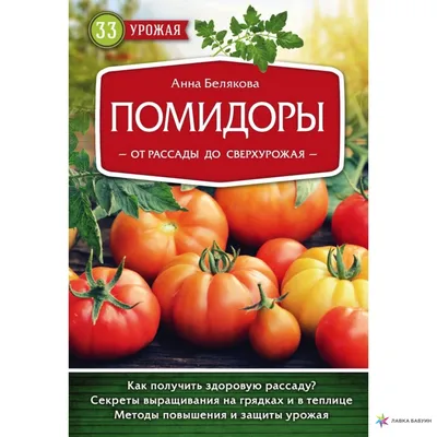 Китайская Помидорная Лапша