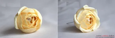 Томат Бугай красный и розовый: описание, фото, отзывы