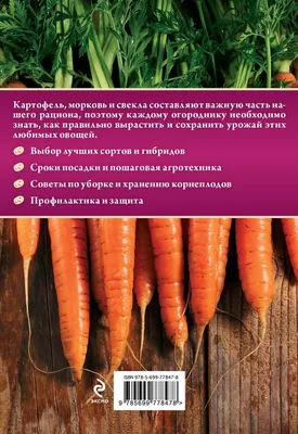 Лучшие томаты для открытого грунта: список из 45 сортов