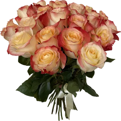 Букет 15 премиальных роз Cabaret купить за 4 900 руб. с круглосуточной  доставкой | Мосцветторгком