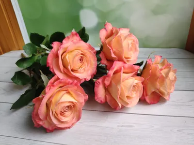 Срезанные цветы : Роза кабаре 70 см
