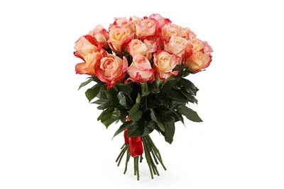 Цветы Ульяновск - Букет гигинт из 25 роз сорта Кабаре! Роза Кабаре  относится к двухцветным розам, имеет очень нежное соцветие пастельных  тонов. Лепестки этой розы кремовые у основания, с плавным переходом к