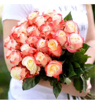 Срезанные цветы: Роза Кабаре
