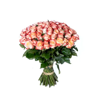 Саженец розы Кабарет, 1шт, Весна 2022 (4152193) - Купить по цене от 557.00  руб. | Интернет магазин SIMA-LAND.RU