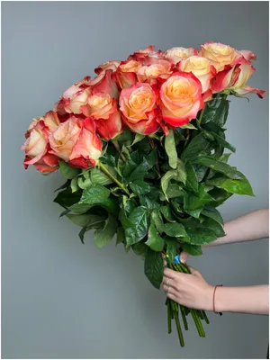 Cabaret Roses - Metropolitan Wholesale | Metropolitan Wholesale