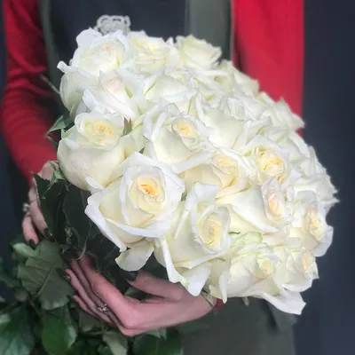 Роза \"Канделайт\" (Эквадор) (Премиум) с доставкой в Новороссийске в интернет  магазине цветов Роз Новоросс