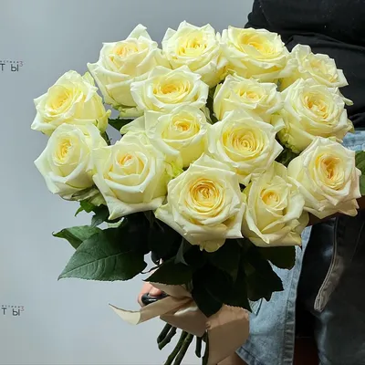Пионовидная роза Эквадор CANDLELIGHT 40см | Купить розы в Челябинске