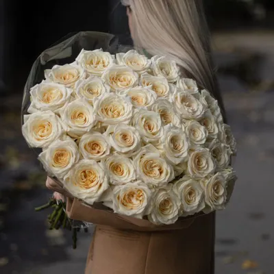 Роза Кэндллайт (Candlelight) Ч/Г: саженцы роз, более 400 сортов роз, розы в  контейнере, питомник саженцев роз, розы от производителя. доставка по всей  Украине. качественные саженцы, рассада и саженцы цветов от \"Розарий вашей