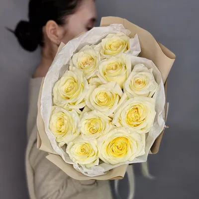 Купить саженцы Роза чайная Канделайт с доставкой! | Florali-Flor