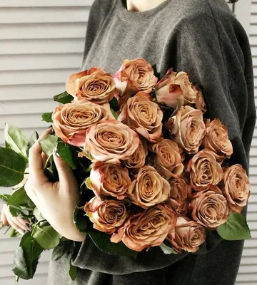 51 роза капучино – купить с бесплатной доставкой в Москве