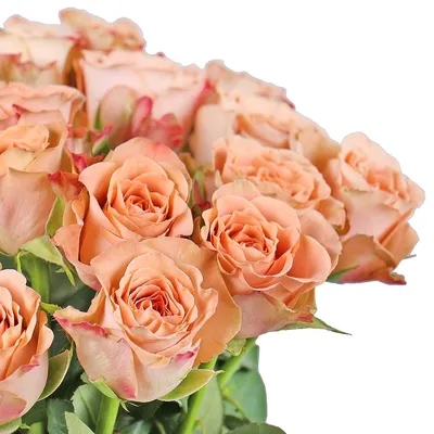 Латте: роза Капучино, белый лизиантус (эустома), эвкалипт по цене 7763 ₽ -  купить в RoseMarkt с доставкой по Санкт-Петербургу