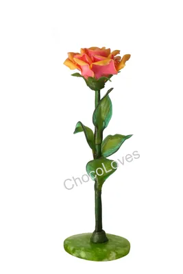 Rosa Karamel Antike and Romantik Antike Stock Photo - Alamy