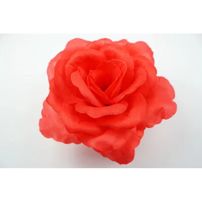Starship Deep Rose - Cardinal Flower - Lobelia speciosa | Proven Winners