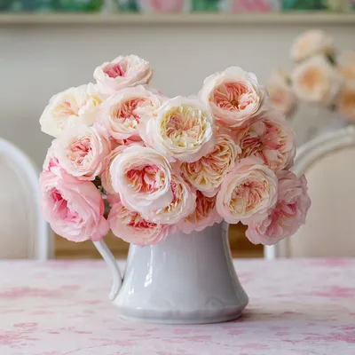 Keira\" Garden Roses (40cm) (96 stems) $4.95 each — Las Vegas Flower Market