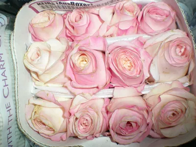 Order a bouquet «Rose David Austin Keira by piece» with delivery