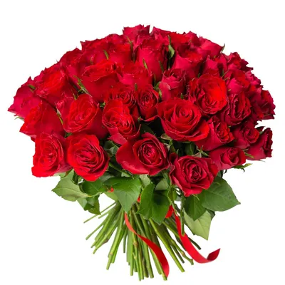Роза Кения красная 75 штук по цене 7600 ₽ - купить в RoseMarkt с доставкой  по Санкт-Петербургу
