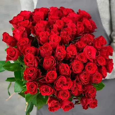 51 красная роза Кения» заказать - цветы и композиции от «Камелия»