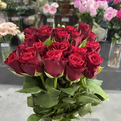 Цветы поштучно роза кения красная 35-40 см - купить в Оренбурге
