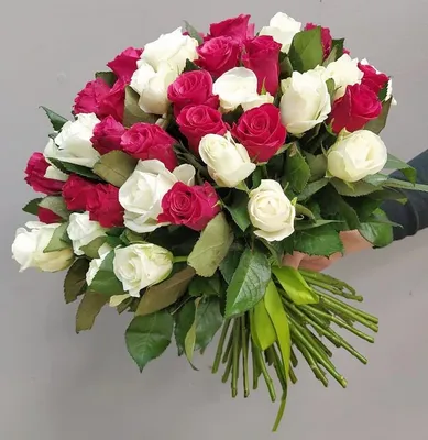 51 роза кения mix №97 - 🌹 Цветы Новосибирск заказ: