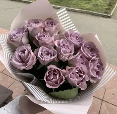 Купить «Роза Кения туманные» с доставкой в Чите - «Flowers World»