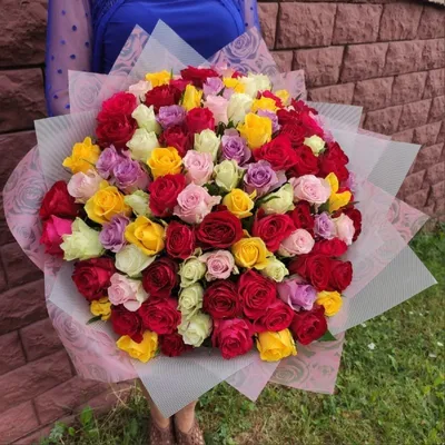 Купить 101 роза микс 50 см (кения) в оформлении с доставкой в  Санкт-Петербурге