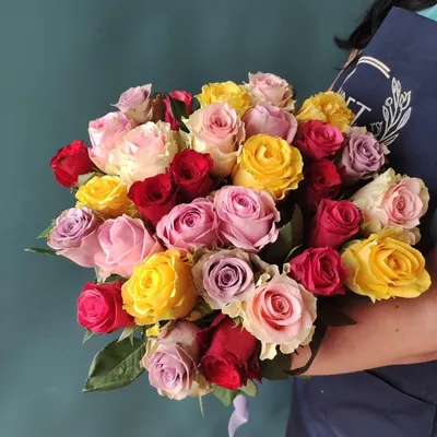 Купить Роза Кения микс 50см по цене 1830₽ доставка в Рязани |  http://Cvetnik62.ru