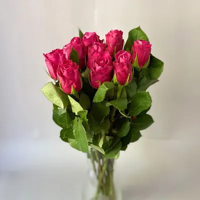 Букет Алая Вуаль, 51 роза, Кения купить за 7 290 руб. с круглосуточной  доставкой | Мосцветторгком