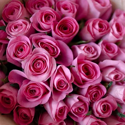 Букет 51 роза кения Эрмина — купить в Екатеринбурге