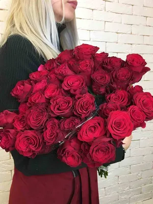 Какие розы лучше Кения или Эквадор - Milele Flowers - кенийские розы оптом,  купить цветы оптом от производителя с доставкой в Ваш регион