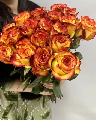 Букет из 25 желто-красных роз Хай Меджик (High Magic) 3400 рублей - Купить  розы дёшево Эквадор 80 руб. Доставка роз СПб 🌹SPBROSA