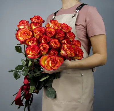 Роза сорта Хай Мэджик - «Самая морозоустойчивая роза.» | отзывы