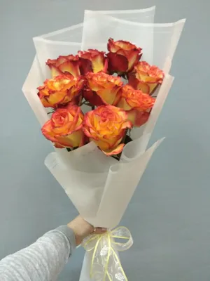 Купить «Роза «Хай Меджик»» с доставкой в Новосибирске