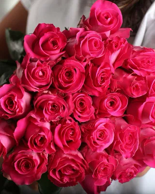 https://shop-gardenplants.ru/catalog/rozy/chayno_gibridnye/65533/