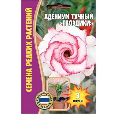 Семена Роза Китайская Ойриакулла, Семена, 5 шт. Цена от 399 руб. . Отличная  всхожесть, есть инструкция. Купить с доставкой и онлайн оплатой. -  интернет-магазин Лесландия