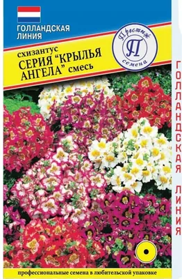 Схизантус Крылья Ангела \"Плазменные семена\" 🏆 – купить семена в Перми