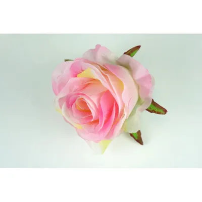 Роза миниатюрная Чили Клементина C4 купить за 950 р. в садовом центре АСТ  Медовое