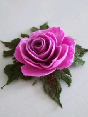 Отзыв о Миниатюрные розы | Эприкот Клементина - маленькая красавица сада