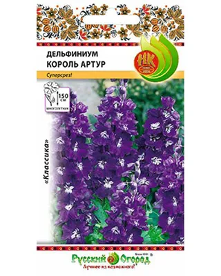 Штамбовая роза \" Кинг Артур \" (ID#1538165645), цена: 850 ₴, купить на  Prom.ua