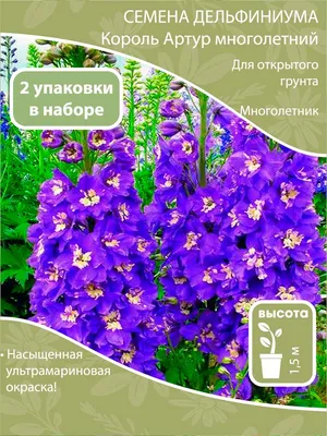 Роза английская Король Артур (ID#1444883512), цена: 80 ₴, купить на Prom.ua