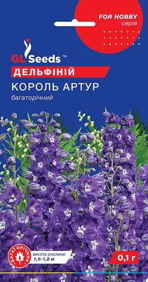 Купить Дельфиниум Король Артур с доставкой по Беларуси почтой. Каталог  многолетников.