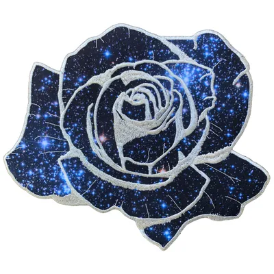 Cosmic Rose Digital Art by Johnny Winter - Pixels