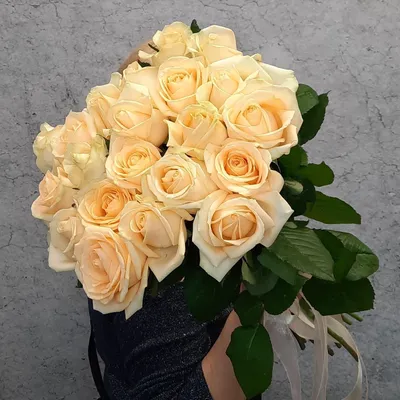 21 кремовая роза – купить с бесплатной доставкой в Москве. Цена ниже!