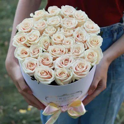 Купить фотообои Кремовая роза (#4466) | заказать в каталоге интернет  магазина с ценой и фото