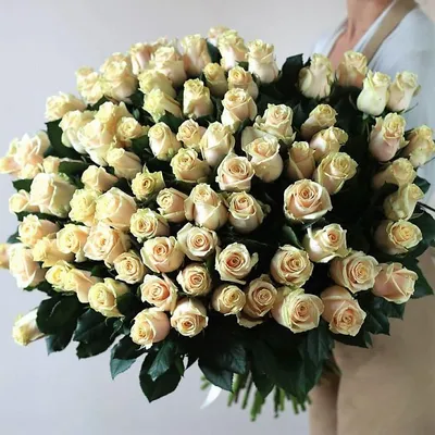 101 кремовая роза купить с доставкой в Москве | Заказать букет цветов  недорого