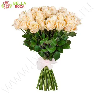 Купить Кустовая роза кремовая пионовидная 60 см в Екатеринбурге с доставкой