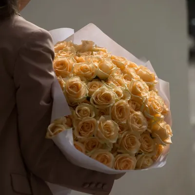 51 кремовая роза Пич Аволанж: купить 51 кремовая роза Пич Аволанж с  доставкой по Киеву и области | Golden Flora